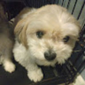 Meet your Posher, Cristopher